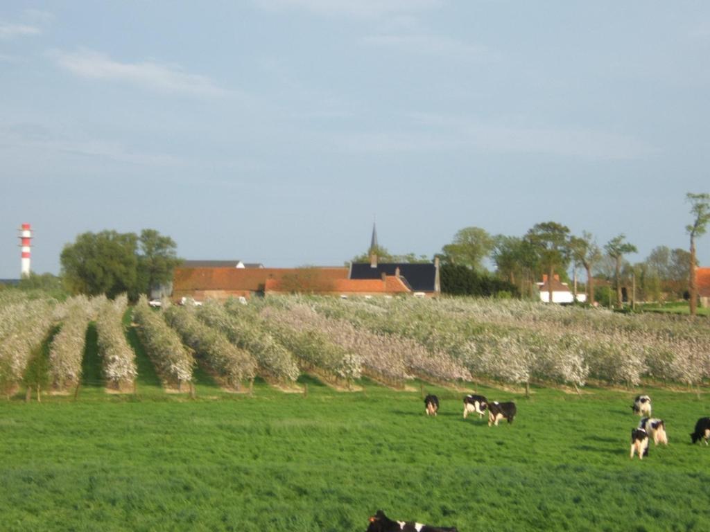 La Vallee Des Trois Monts Saint-Sylvestre-Cappel Buitenkant foto